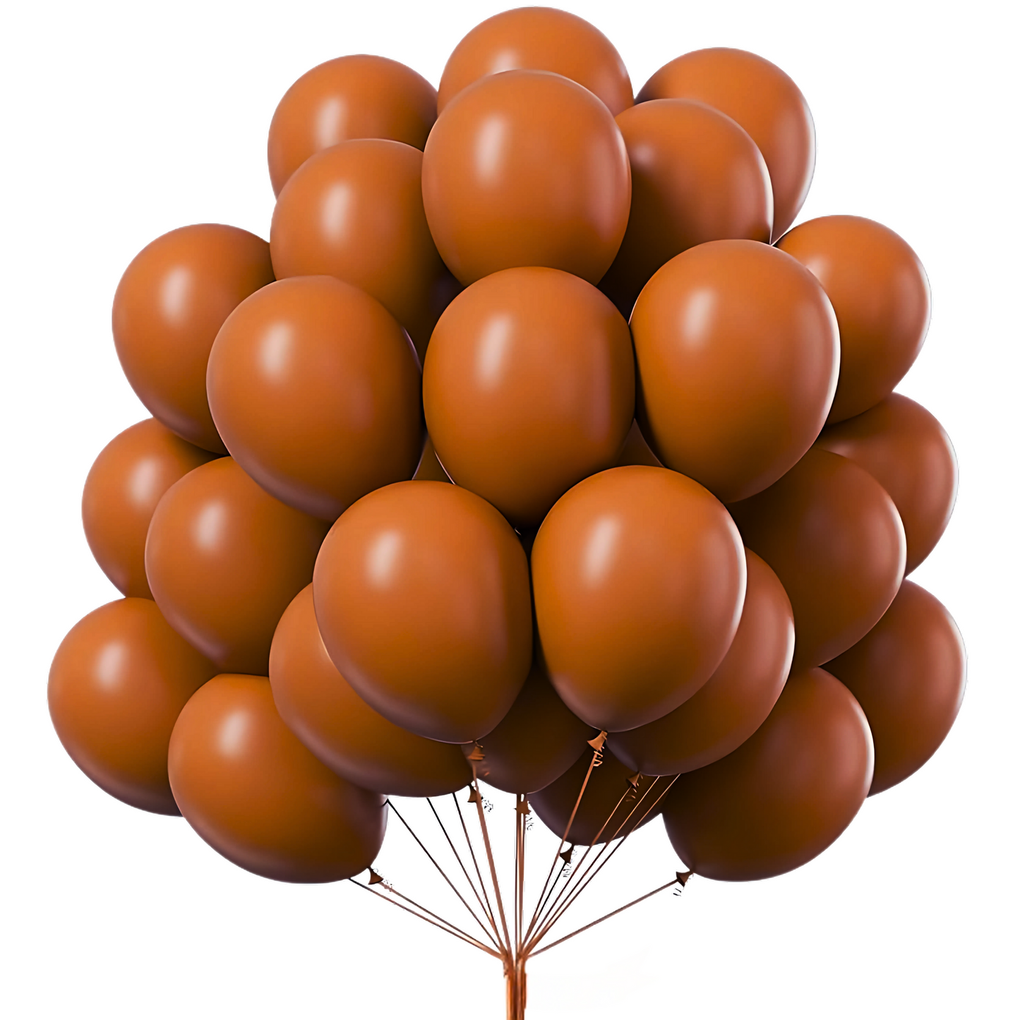 Choco Brown Latex / Rubber Balloon - 10 inches - 20PC
