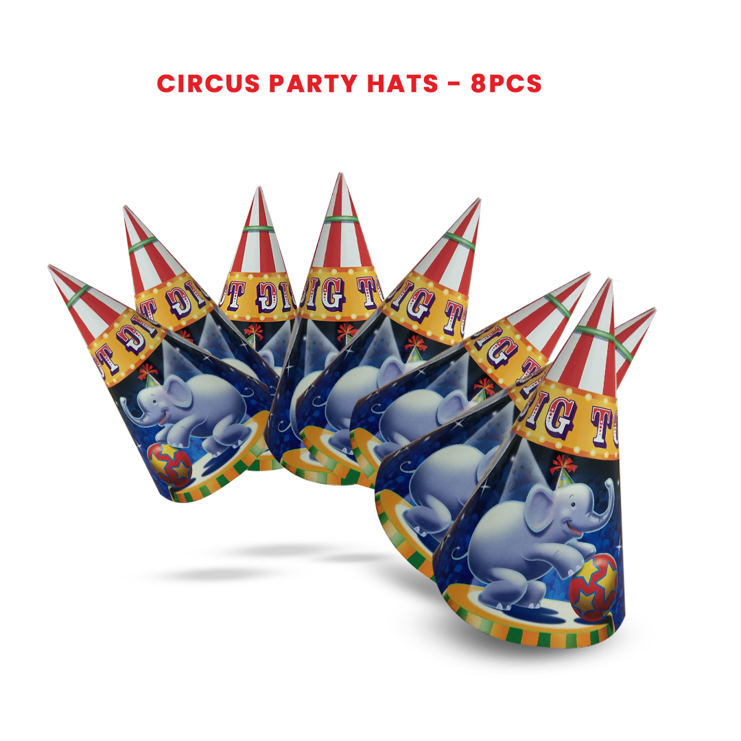 1st Birthday Girl Party Hat - 8PC