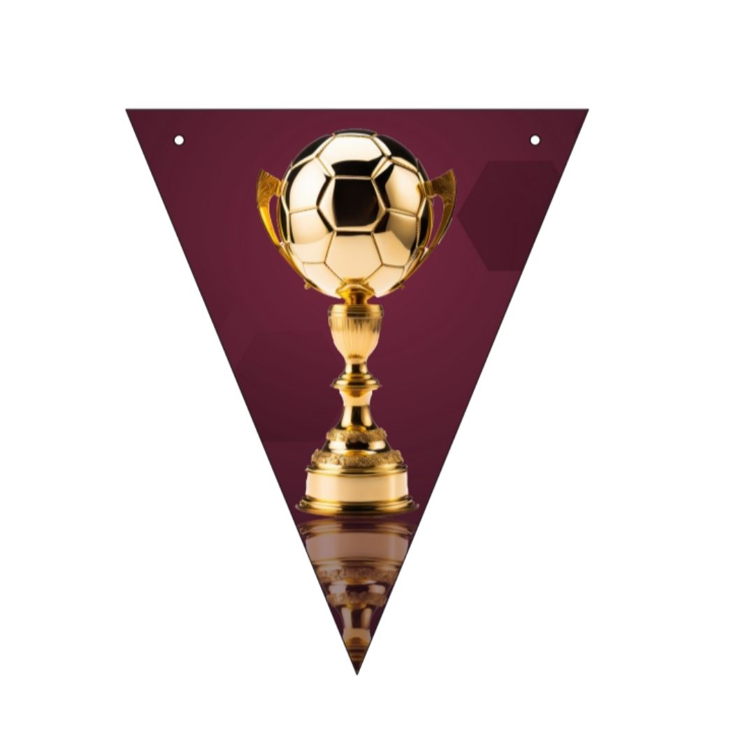 Soccer/Football Euro Cup Bunting Banner - 11inch x 9 inches - 10 FT