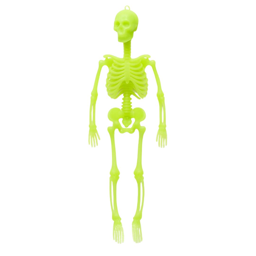 Glow in the Dark Hanging Skeleton - 12 inches - 1PC