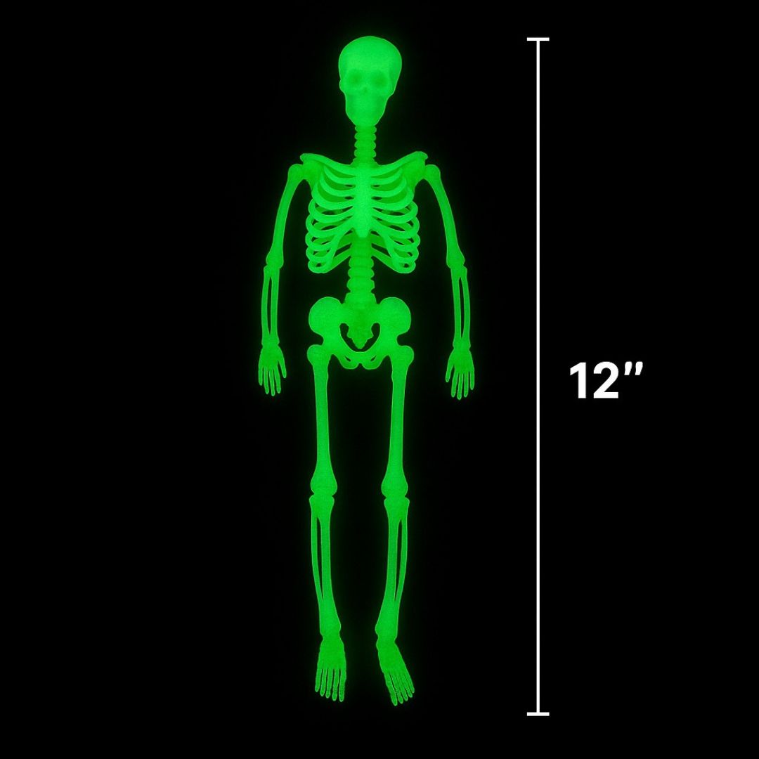 Glow in the Dark Hanging Skeleton - 12 inches - 1PC