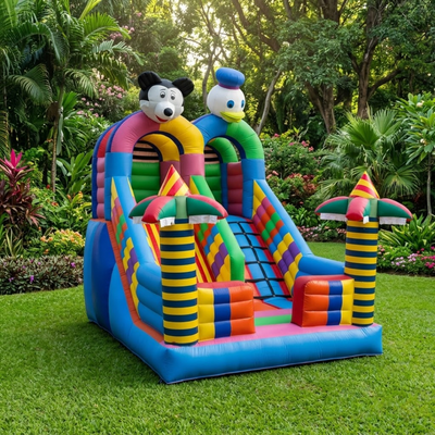 Mickey slide for Rent