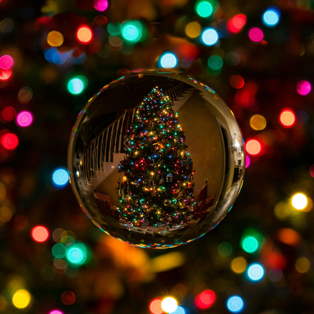 christmas 2024
