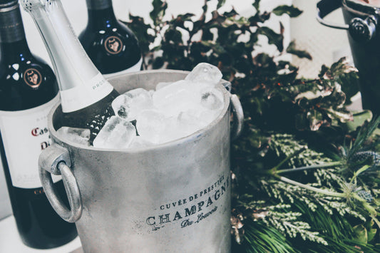 Ice Bucket- a party essential