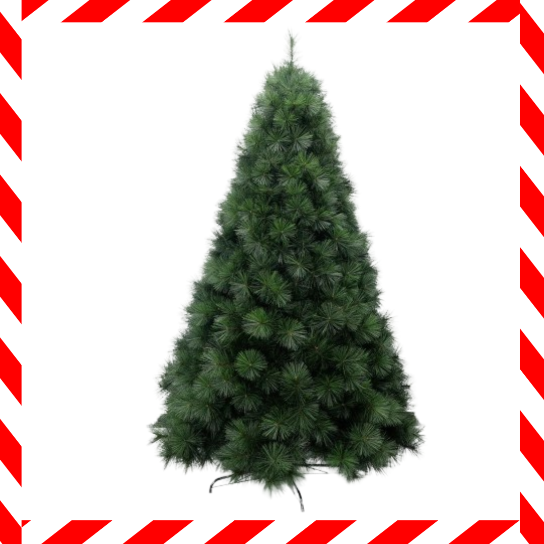 Christmas Trees & Ornaments