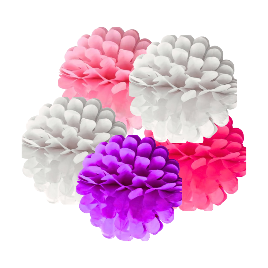 Multicolor Paper Pom Pom Hangings -10 Inch - 5PC - Wanna Party - packaging