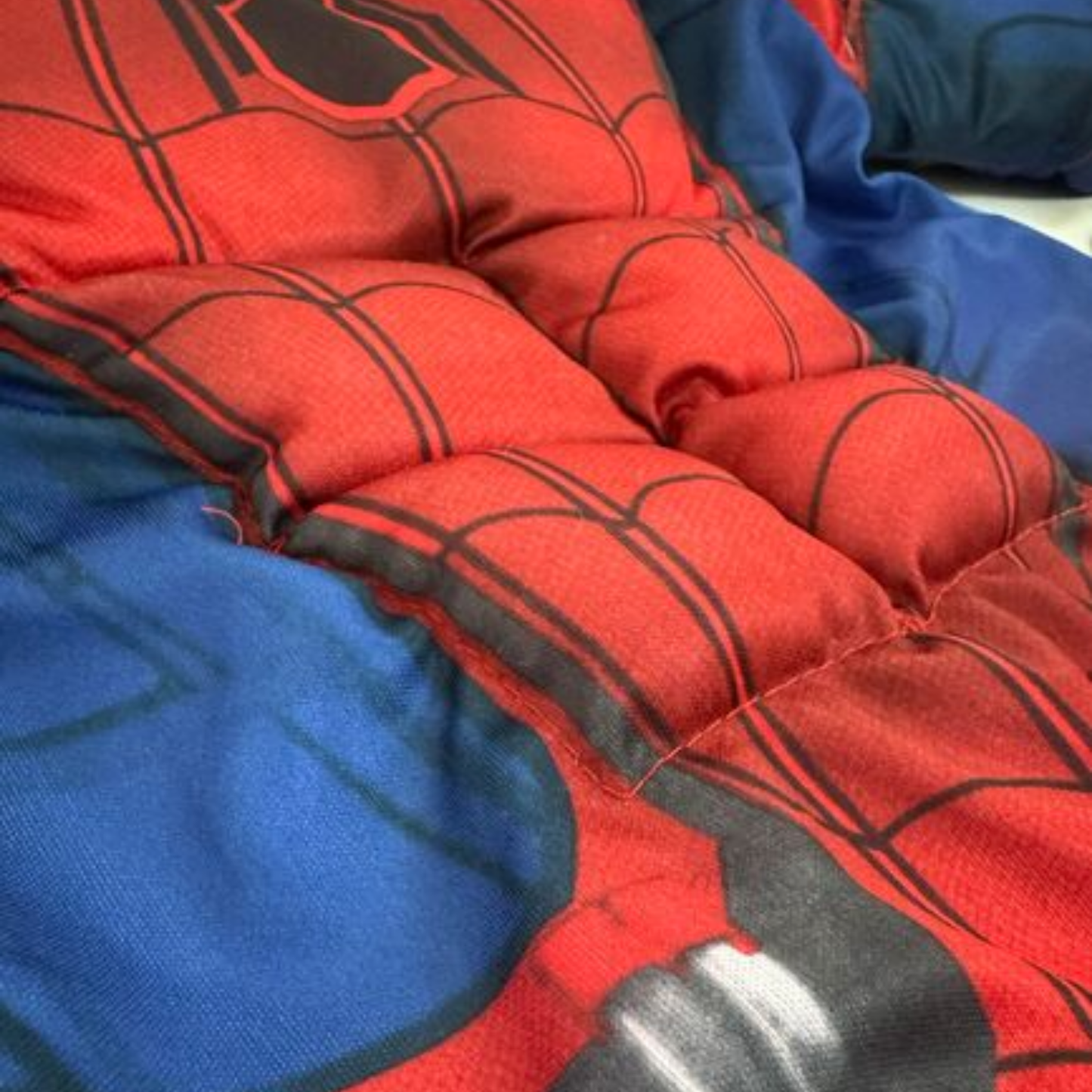 Muscular Spiderman Costume ADULT