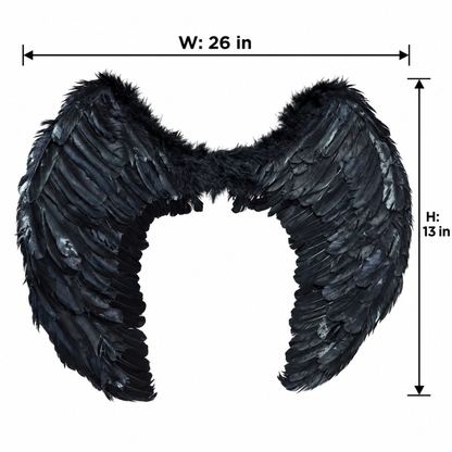 Devil Black Wings for Halloween/ Theme Party - 1PC