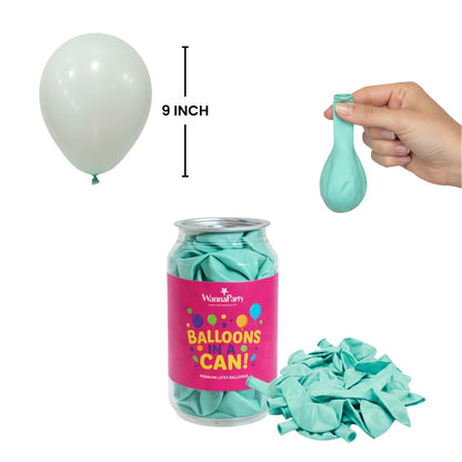 Macaron Pastel Green Premium Latex Balloons 10" - 20PC