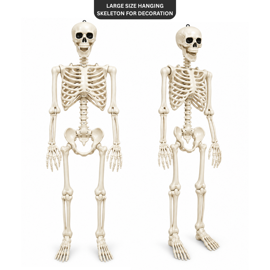 Large Size Hanging Skeleton for Decoration - 6ft