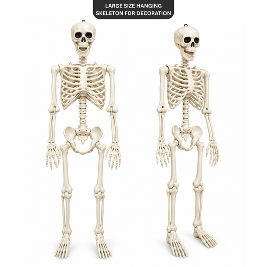 Large Size Hanging Skeleton for Decoration