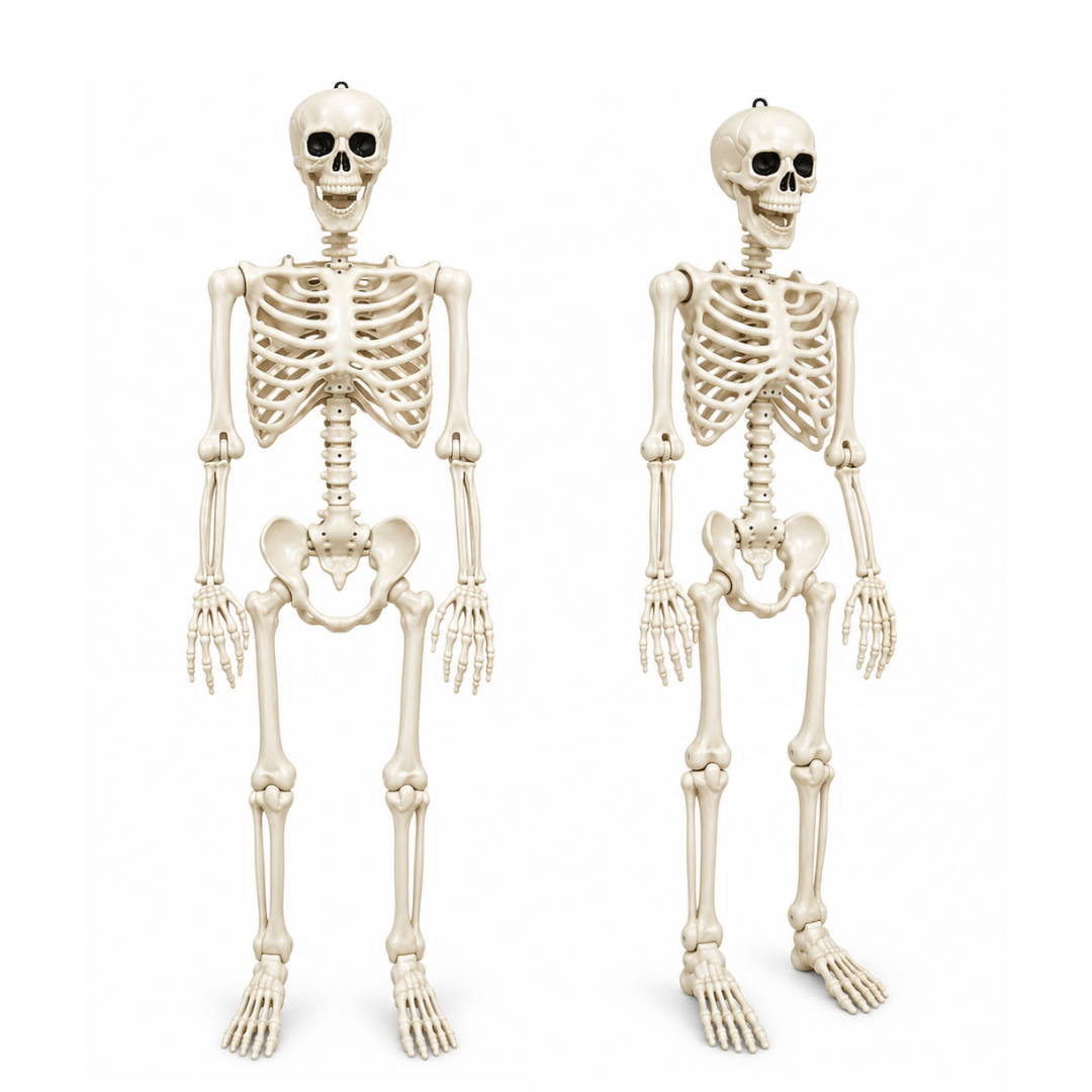 Large Size Hanging Skeleton for Decoration - 6ft