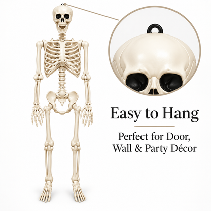 Large Size Hanging Skeleton for Decoration - 6ft