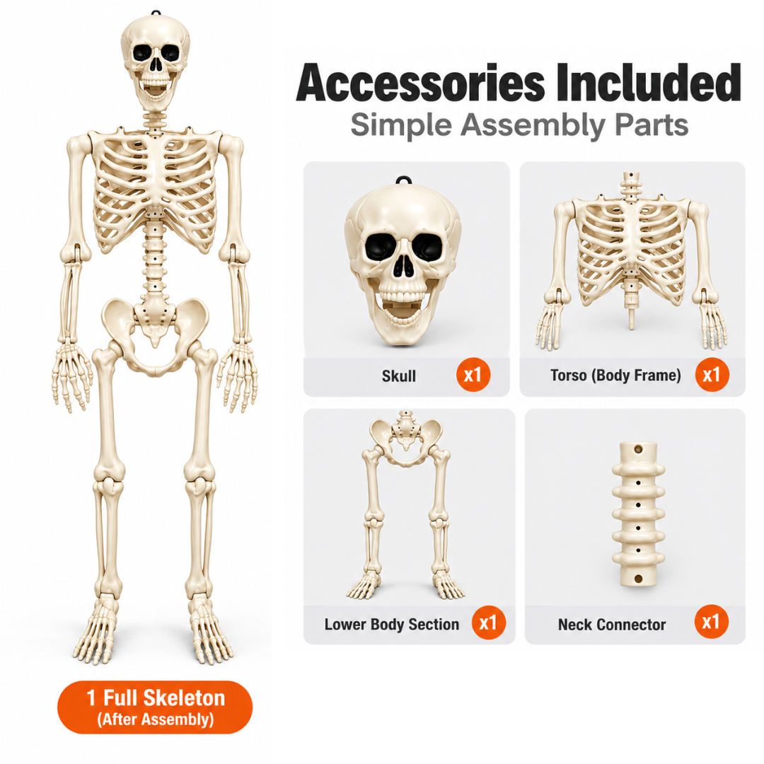 Large Size Hanging Skeleton for Decoration - 6ft
