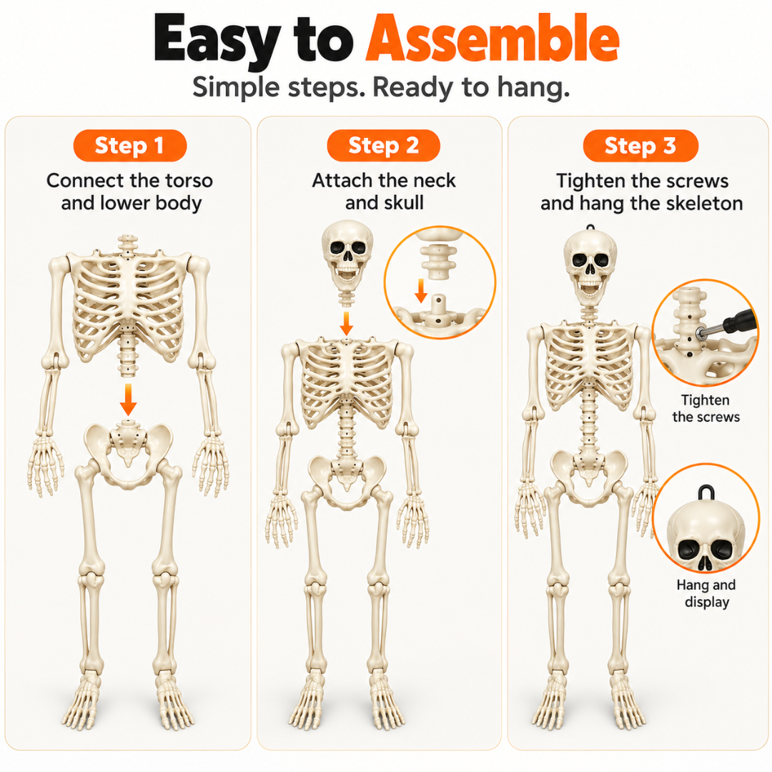 Large Size Hanging Skeleton for Decoration - 6ft