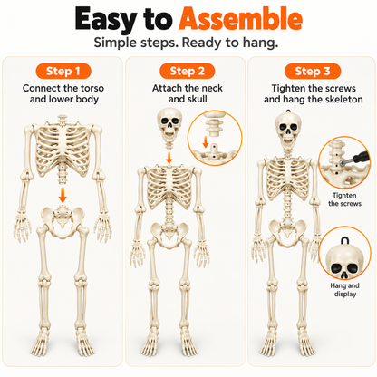 Large Size Hanging Skeleton for Decoration - 6ft