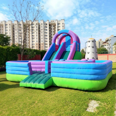 Dual Slide and Rock Climbing Bouncy for Rent