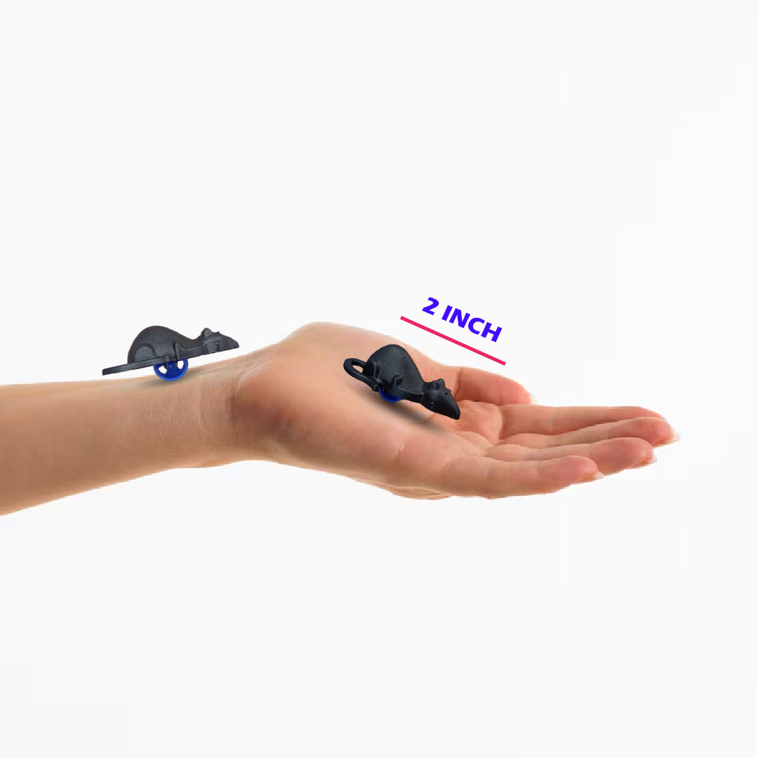 Creepy Small Rats with Wheel 10PC - Halloween Party Toys | Wanna Party - Image 3