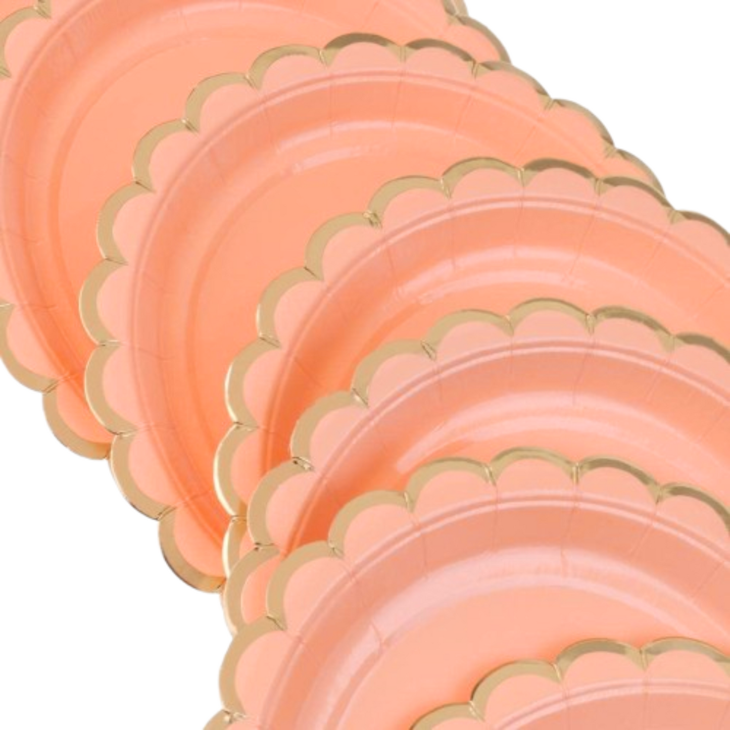 Blush Pink Party Paper Plate w/ Golden Rim  - 9 inches - 10PC