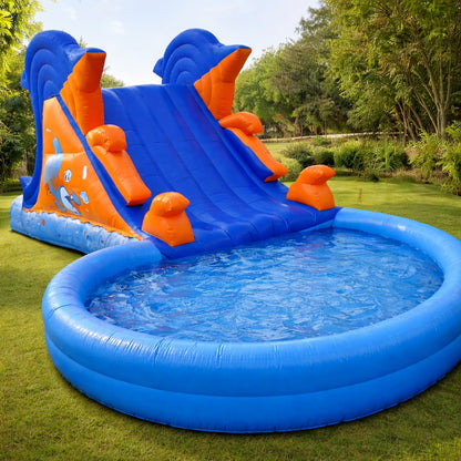 Dolphin Sliding Pool Bouncy for Rent